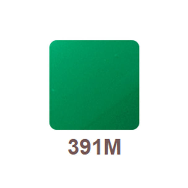 リッカジェル カラージェル 391M 3g