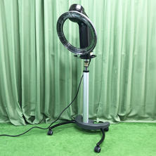 ローラーボールII