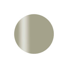 Calgel カラーカルジェルプラス ミスティリーフ 2.5g