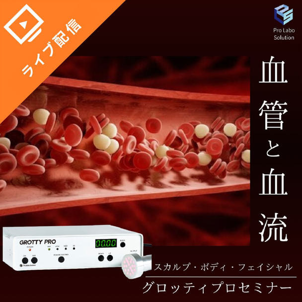 血管と血流　～医療技術を応用した1台3役の多機能機器グロッティプロセミナー～