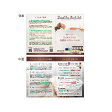 ミネラリア デッドシーバスソルト お客様用 A6見開きリーフレット 20部