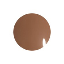 [PG-CE937] プリジェル カラーEX オーク 3g