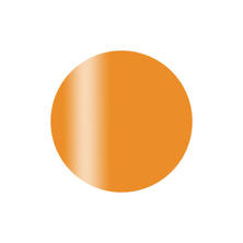 Calgel カラーカルジェルプラス シアーオレンジ 2.5g