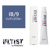 アルティスト IB/9（インディゴブルー）80g 【医薬部外品】