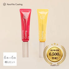 【松風】KeraVitaコーティング導入セット（Fix&amp;Glow 各6個セット）