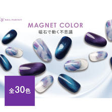 ネイルパフェ マグネットジェル 2g