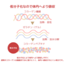 ツバメの巣＆コラーゲン6000（50ml×10本） 6