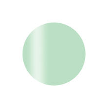 Calgel カラーカルジェルプラス ミントクリーム 2.5g