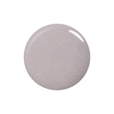 paragel（パラジェル）カラージェル LC010 ムーングレー 4g