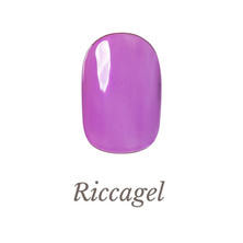 リッカジェル カラージェル 397C 3g