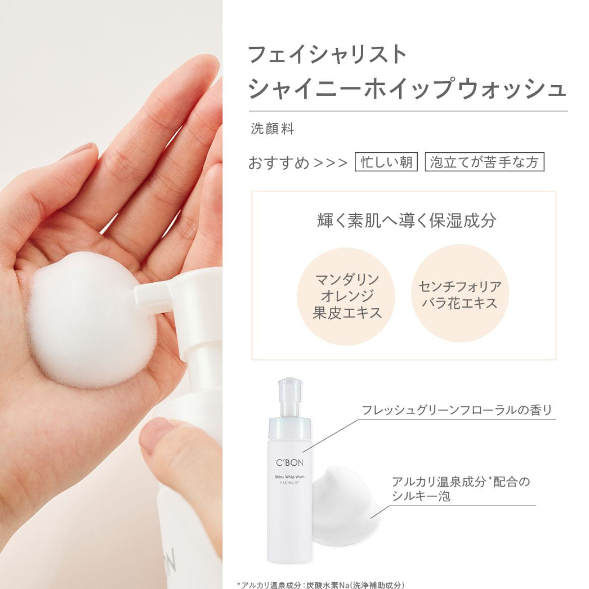シーボン フェイシャリスト シャイニーホイップウォッシュ 200mLの卸