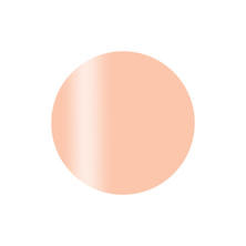 Calgel カラーカルジェルプラス ソフトベージュ 2.5g