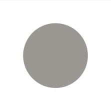 [PG-CE1006] プリジェルカラーEX コブルグレー