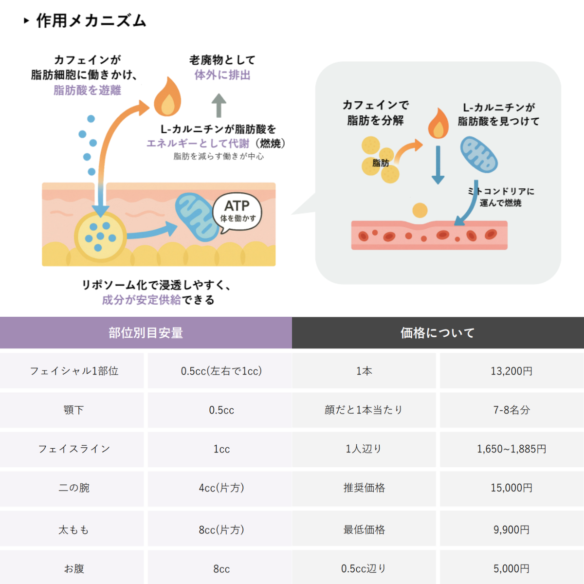 MADE U LMC メシダ脂肪溶解剤 1箱（8cc×10本）の卸・通販 | ビューティ