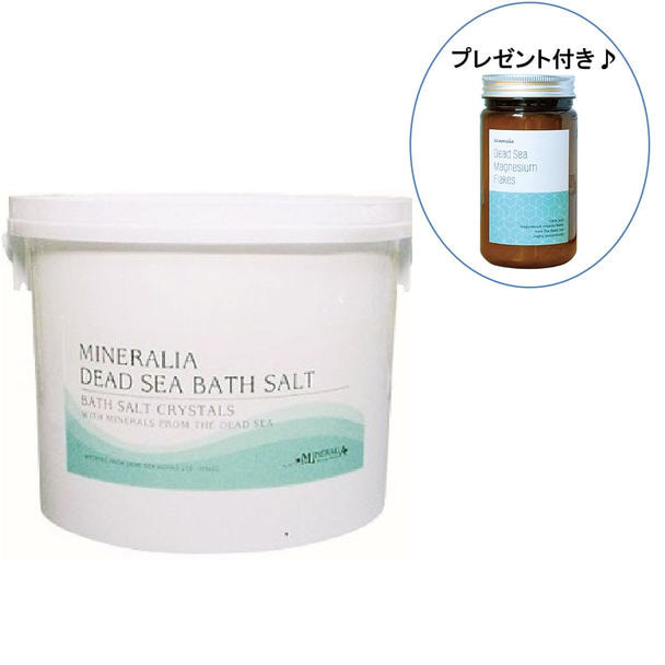 ミネラリア デッドシーバスソルト ナチュラル 5kg（バケツ入り） 1