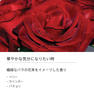 Ashleigh&Burwood インセンス ミッドナイトローズ 30本入 3