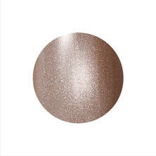 レイジェルマグネットカラージェル 057MG