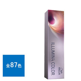 輝髪 ザクロペインター ナチュラルブラック A 240gの卸・通販