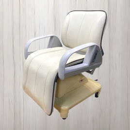 TAKARA BELMONT（タカラベルモント）の電動シャンプーチェア商品の卸