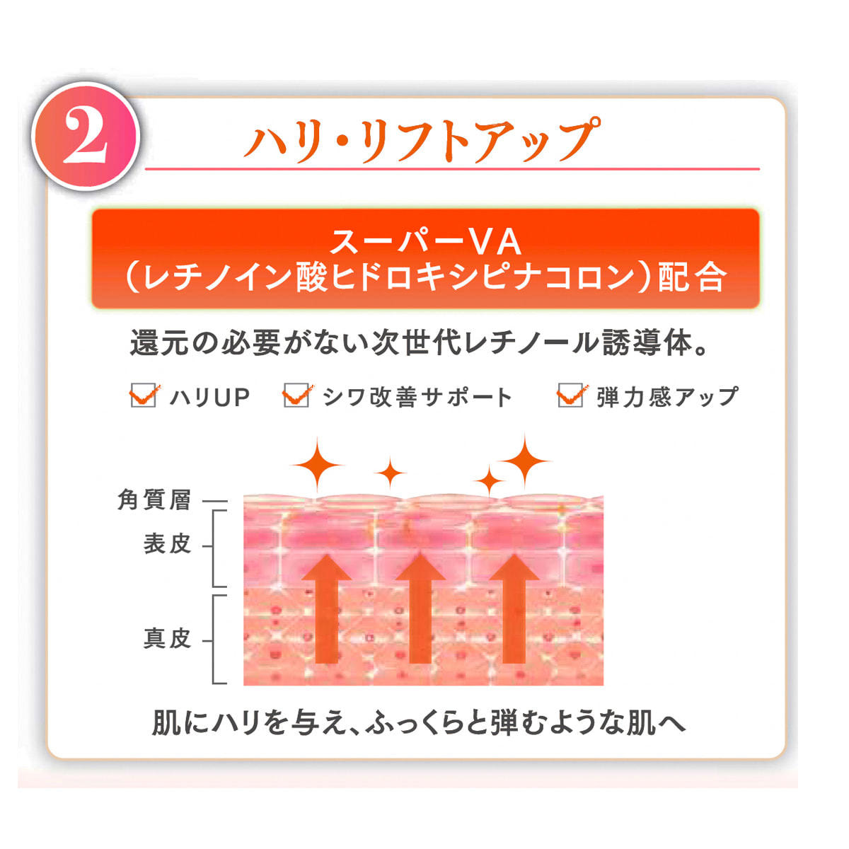 JC MEDIBEAUTYS ホットジェルパックの卸・通販 | ビューティガレージ