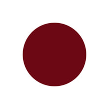 Naility！（ネイリティー）ジェルネイルカラー 193 ディープレッド 4g