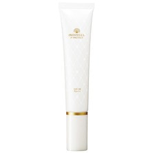 アジュバン プリンシェル P-プロテクト〈R2〉40g