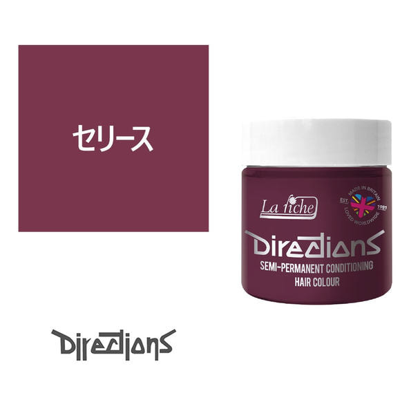 ディレクションカラー 100ml＜セリース＞ 1
