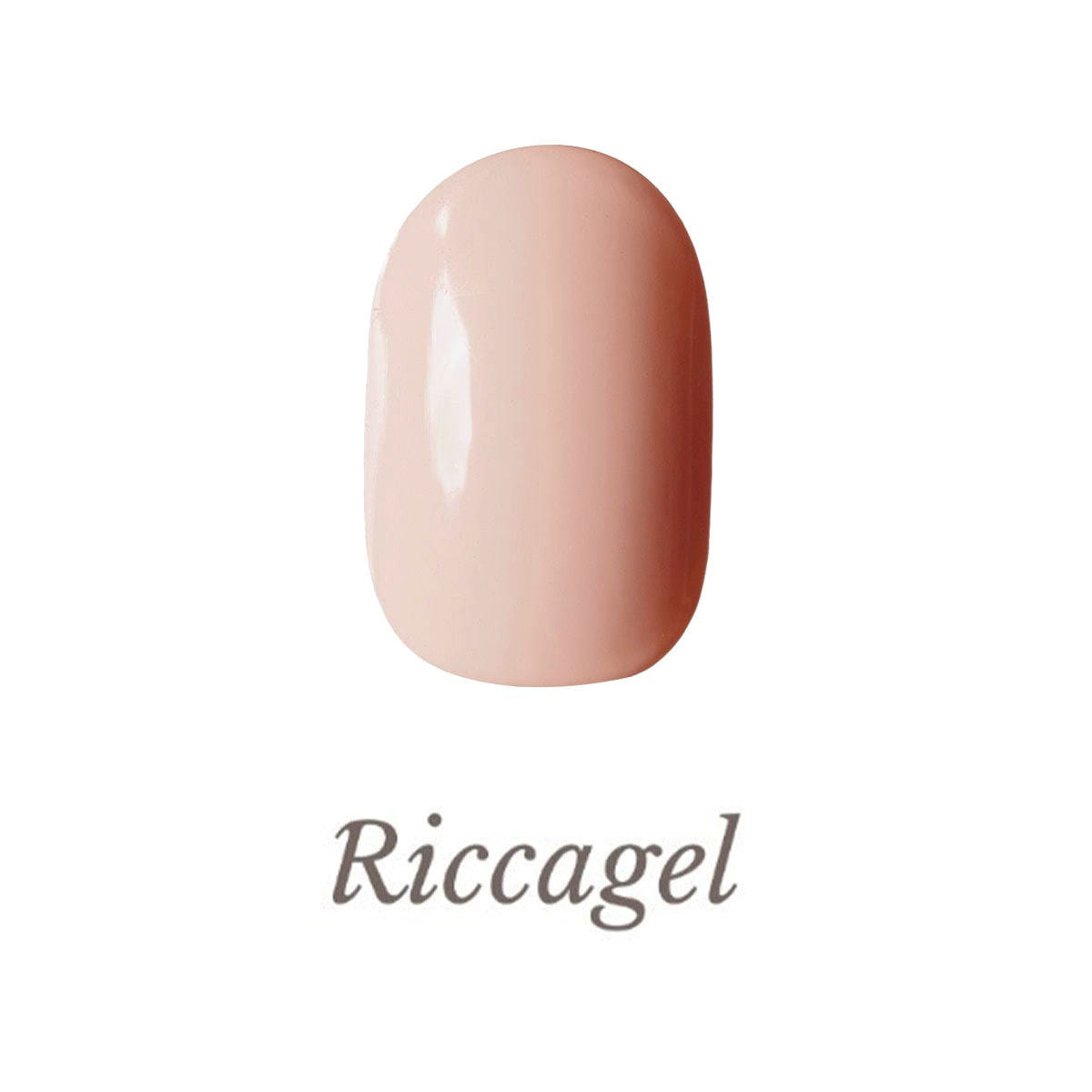 リッカジェルセット 新商品情報｜Riccagel リッカジェル