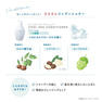 ミントベル マリンブルーシャンプー 50mL 4