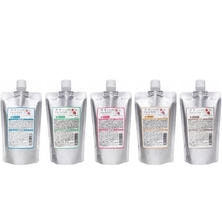 【Web説明】輝髪ペインター