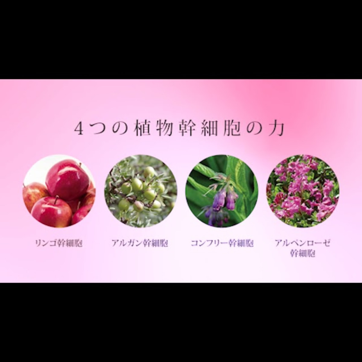 GRACEResha（グレースリシャ）タラソクレイパック 500gの卸・通販