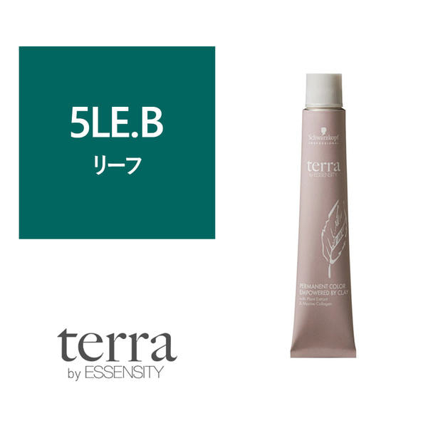 テラ by エッセンシティ 5LE.B《グレイカラー》85g【医薬部外品】 1