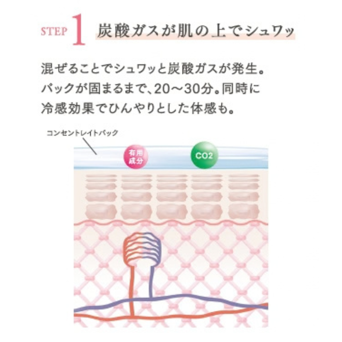 フェース クロニクル コンセントレイトパック（1剤50g、2剤40g×10包