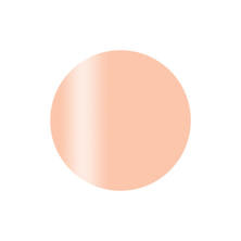 Calgel カラーカルジェルプラス フルリベージュ 2.5g