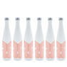 MOEGI 酵素ドリンク 500ml×6本 1