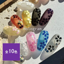 KiraNail HOLOGRAM 花びら ケース入