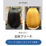 protego プロテゴ800ml≪プレックス剤≫ 12