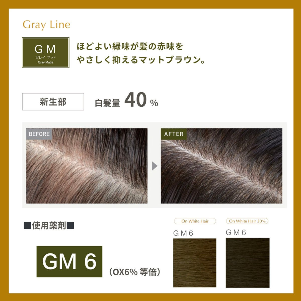 プロステップ GM6 80g《グレイカラー》【医薬部外品】の卸・通販