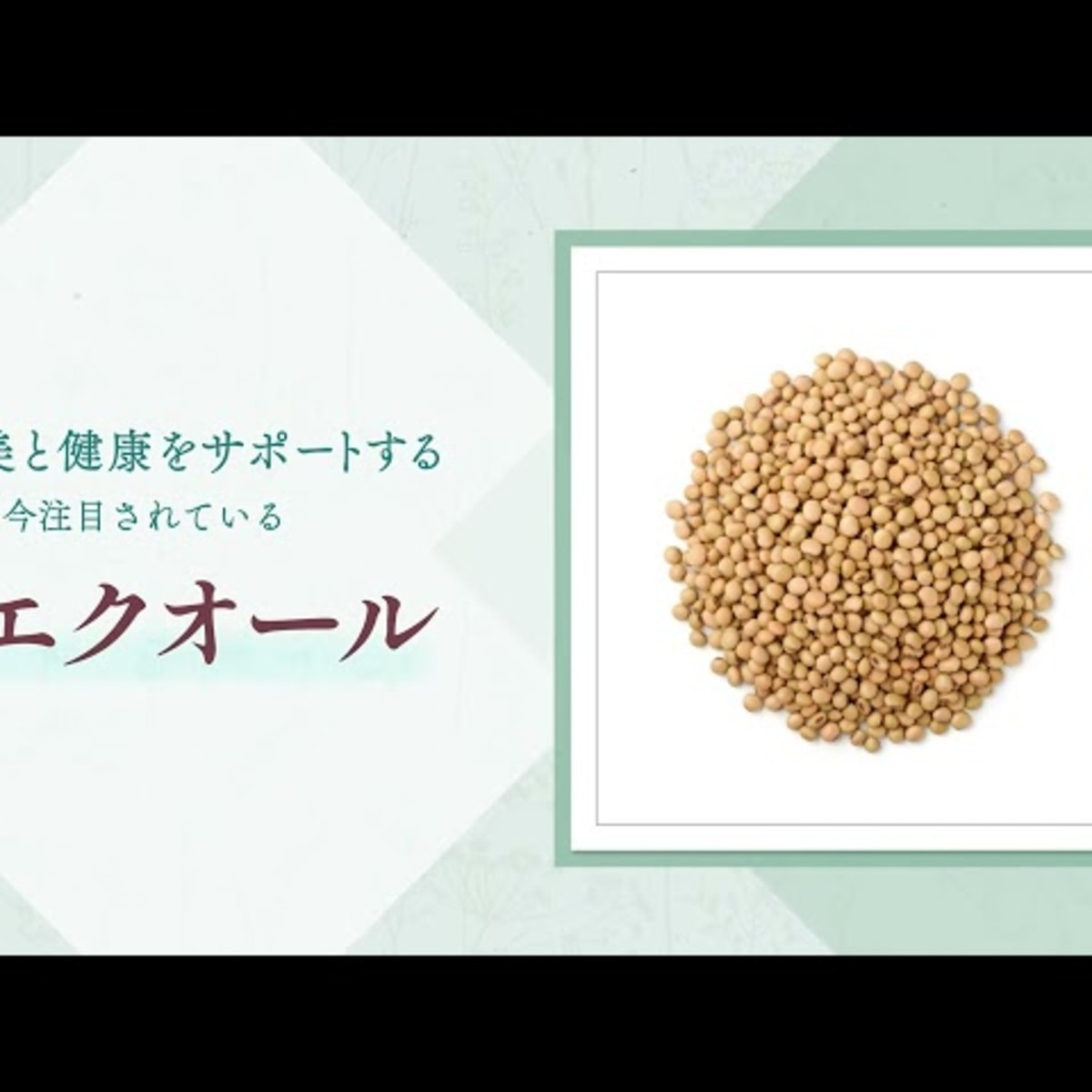MARROW エクオール PRO 60粒の卸・通販 | ビューティガレージ