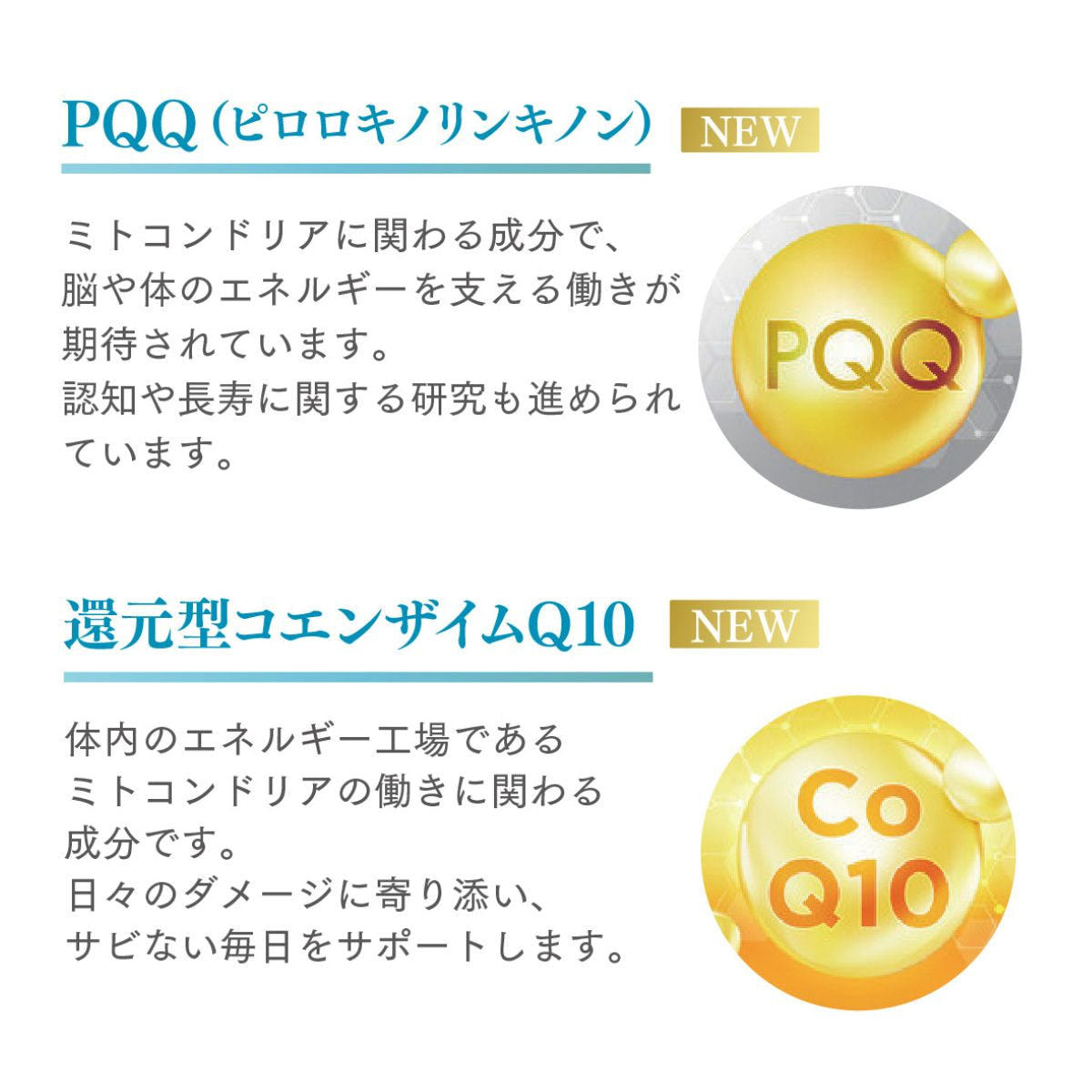 JC NMN サーチュインブースター プロフェッショナル15000プラスの卸 