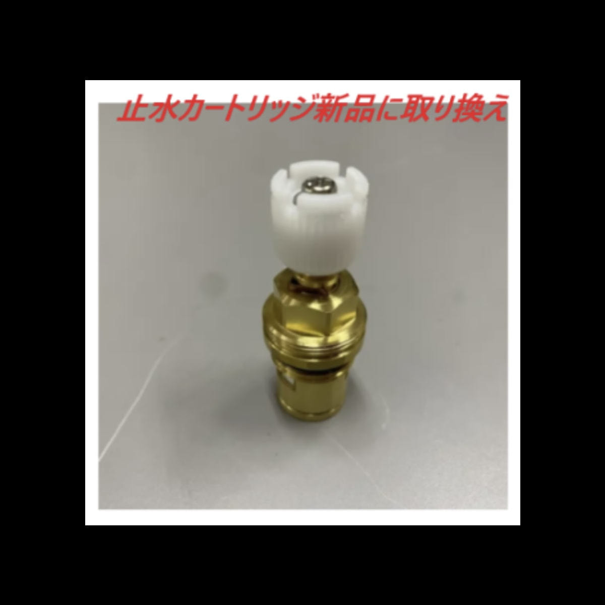 ワイドシャンプーボール YKW（日本製サーモ付き）黒の卸・通販 