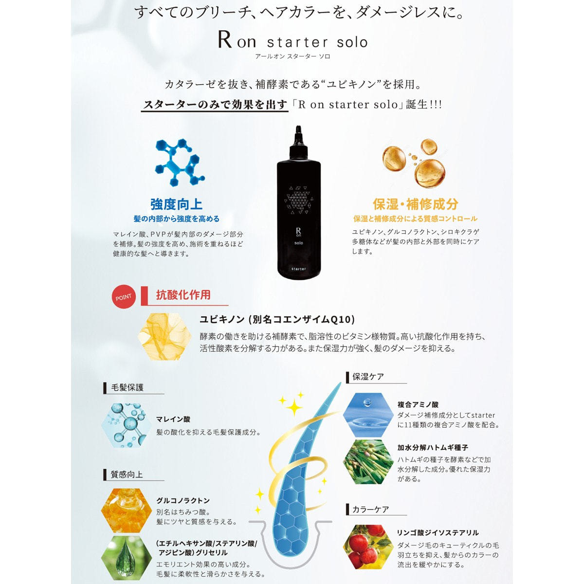 R on スターター ソロ 500mlの卸・通販 | ビューティガレージ