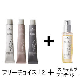 terra by ESSENSITY（テラ バイ エッセンシティ）のヘアカラー2