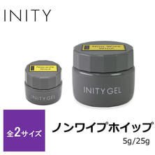 INITY ノンワイプホイップ INITY ノンワイプホイップ