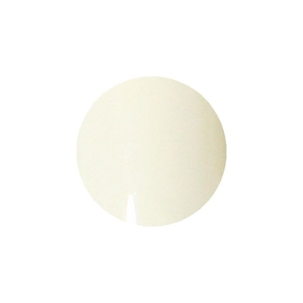 VETRO（ベトロ） カラージェル VL248A アイリッシュミスト 4ml 1