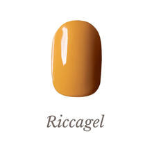 リッカジェル カラージェル 069M 3g