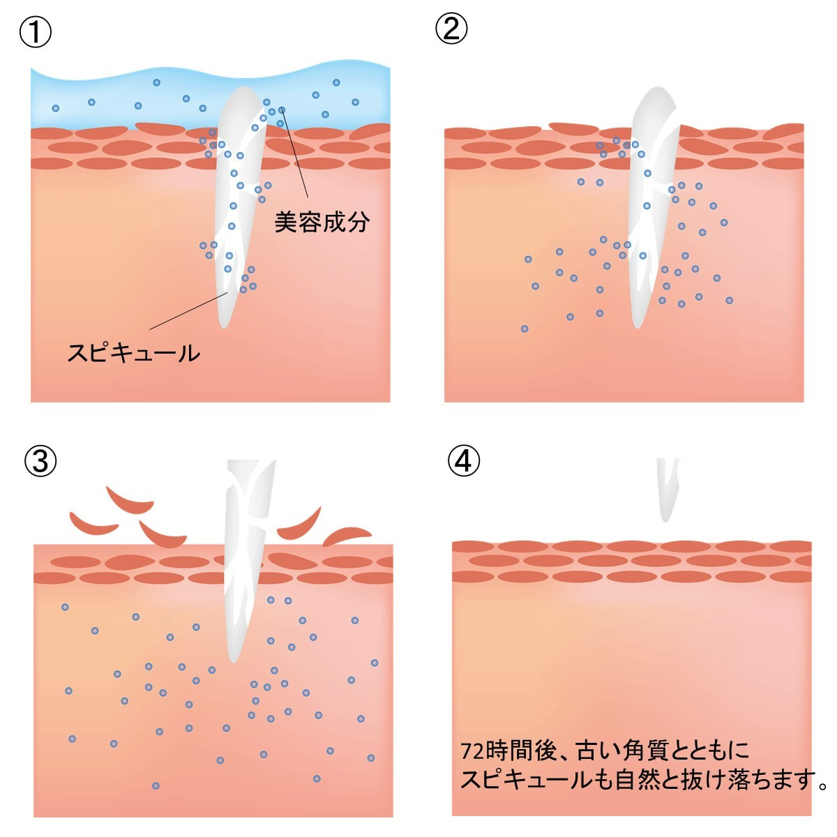 2g×12本1箱ヒト幹細胞培養液コスメ SCボーテ プレミアムインジェクション 2g×12本