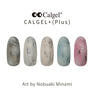 Calgel カラーカルジェルプラス シャインラズベリー 2.5g 4