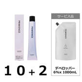 プリミエンス 80g《グレイカラー》フリーチョイス12本（10＋2）＋デベロッパー 6%x 1000mL×1本【医薬部外品】