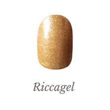 リッカジェル カラージェル 132G 3g